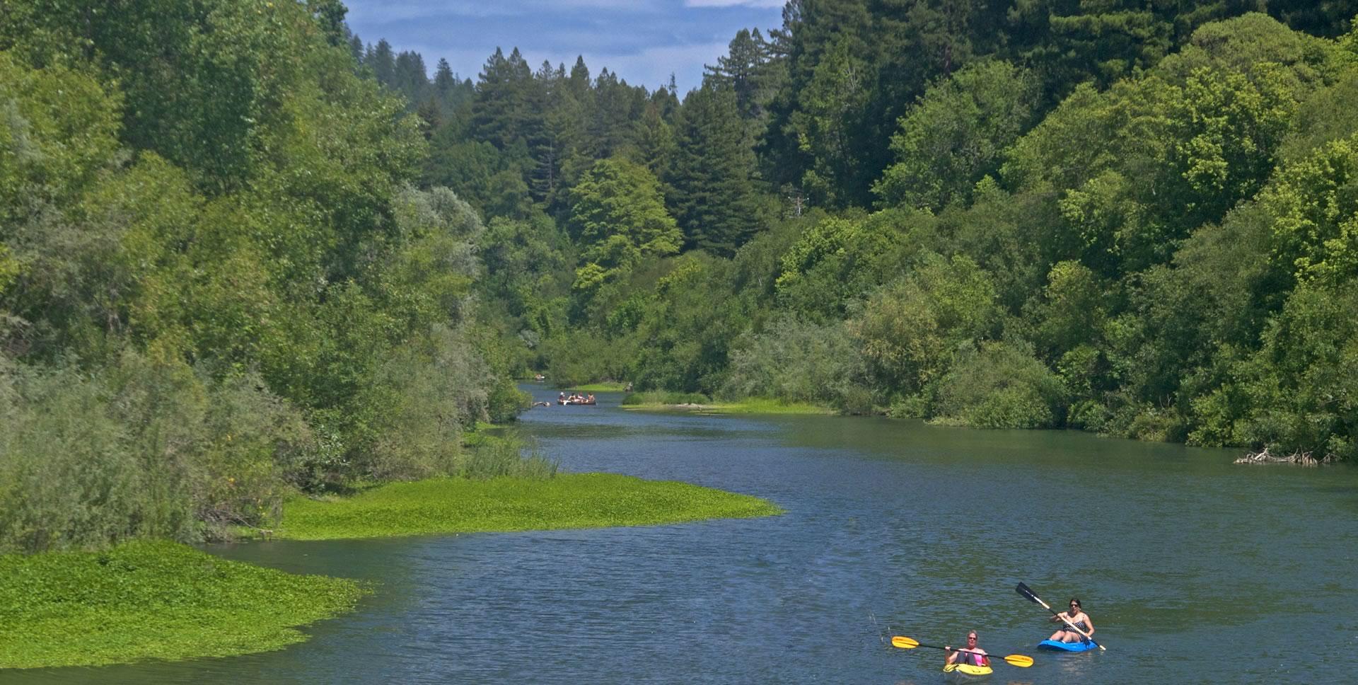 Russian River winding through redwoods in Sonoma County